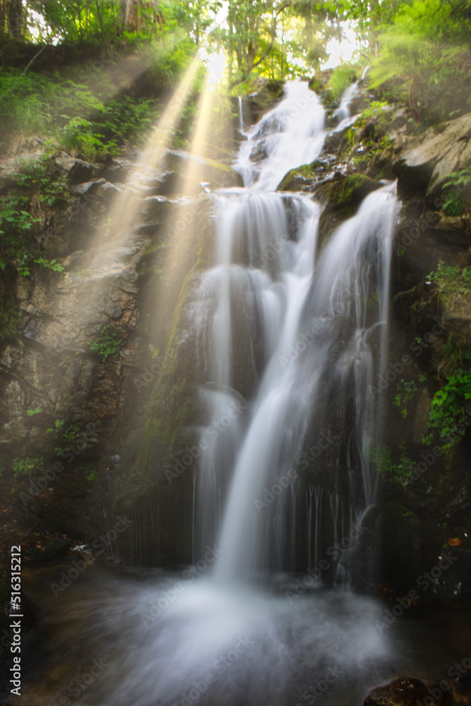 Obraz premium The Todtnau Waterfall in the Black Forest in Germany.