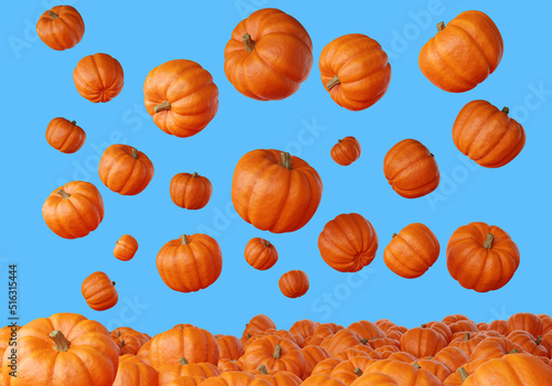 Juicy pumpkins are flying d...