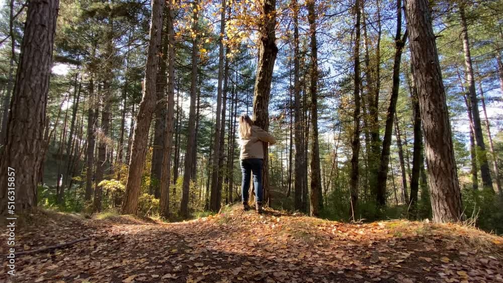 Women enjoying his connection with nature, reaches a clear spot and hugs a tree Women enjoying his connection with nature, reaches a clear spot and hugs a tree