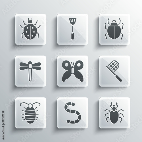 Set Worm, Beetle deer, Butterfly net, Larva insect, Dragonfly, Mite and icon. Vector