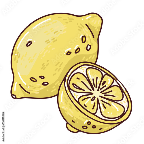 cute hand drawn illustraton of lemon photo