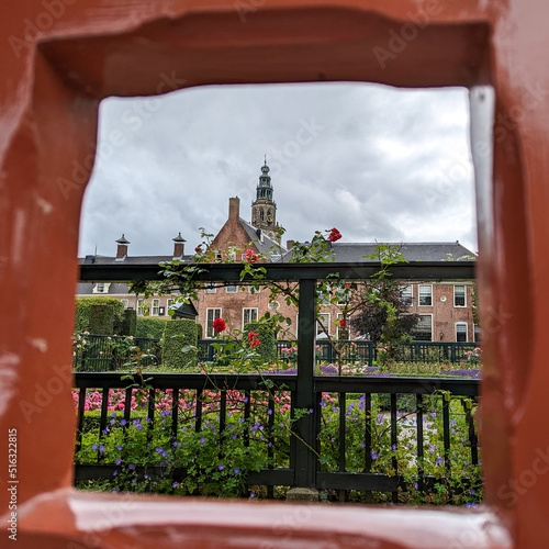 Roses in Prinsentuin Park in Groningen Netherlands framed by a wooden gate photo