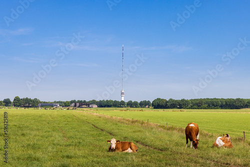 Fototapeta Naklejka Na Ścianę i Meble -  Landscape with transmission tower Smilde The Netherlands