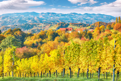 Fototapeta Naklejka Na Ścianę i Meble -  Stunning vineyards landscape in South Styria near Gamlitz.