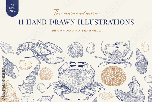 11 Hand drawn illustrations, Seafood & Seashell (Vector)