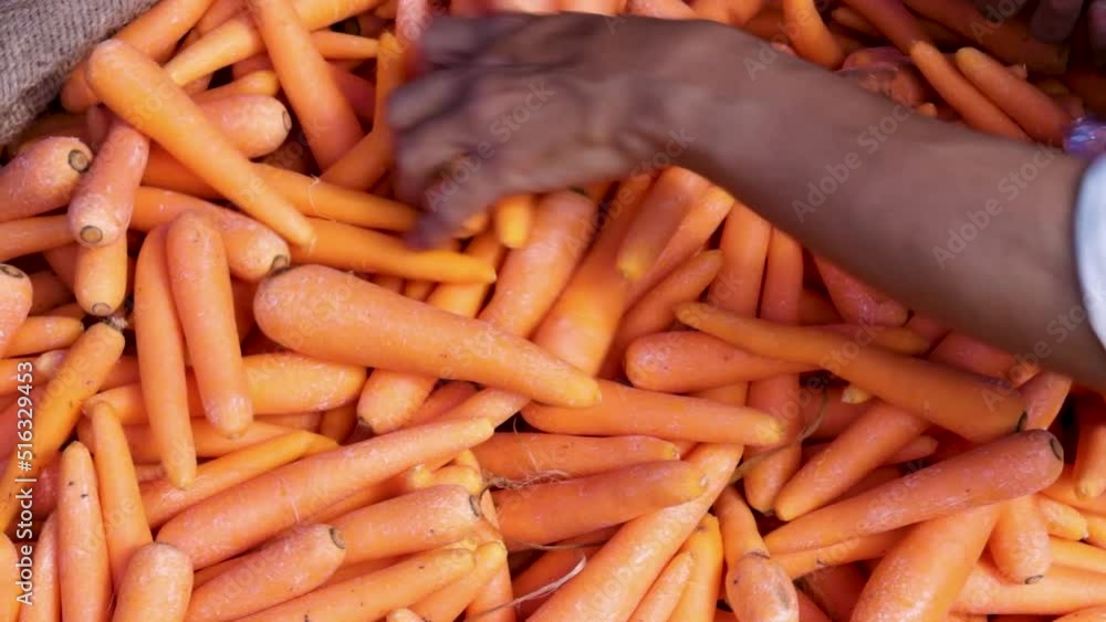 fresh organic carrot from farm close up from different angle fresh organic carrot from farm close up from different angle