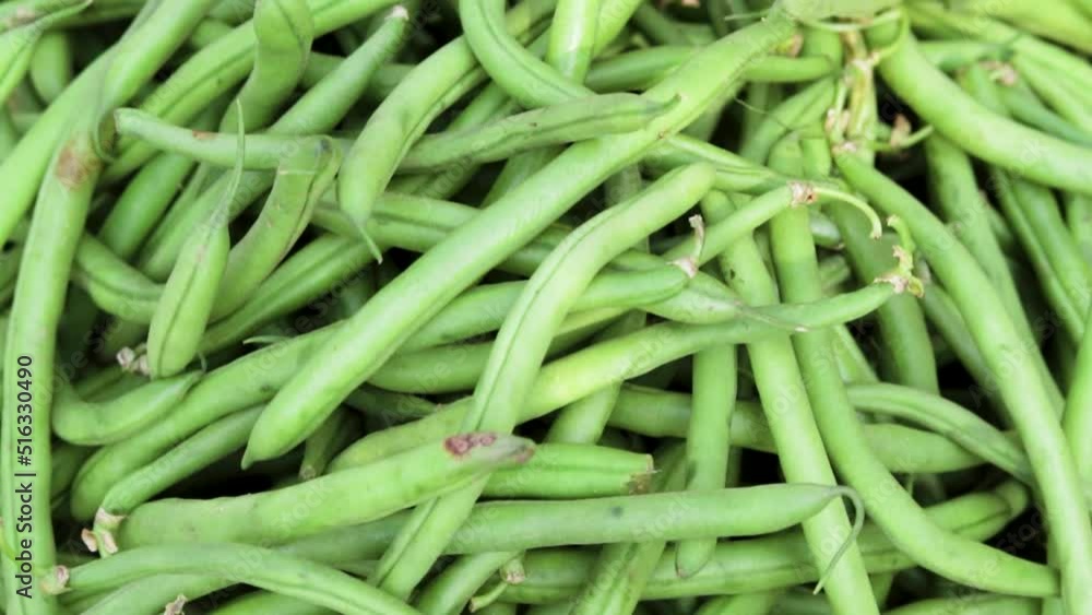 fresh organic green beans from farm close up from different angle fresh organic green beans from farm close up from different angle
