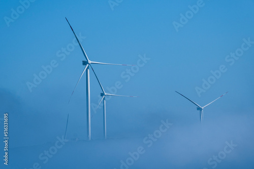 Wind Turbines in The Fog © faruk