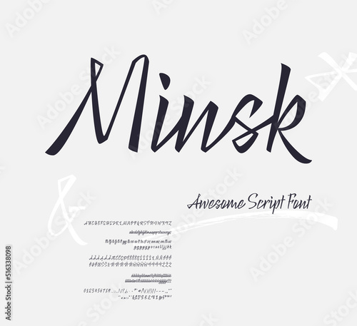 Minsk Script Font. Vector Set of Letters. Vector illustration