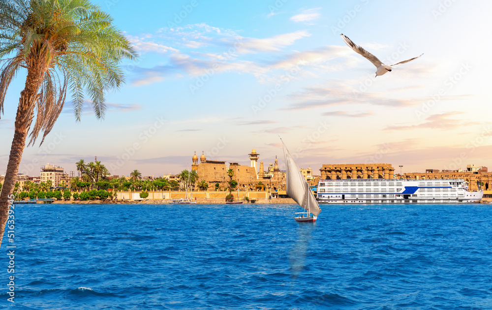 Luxor Temple on the bank of the Nile behind the palm tree, Upper Egypt
