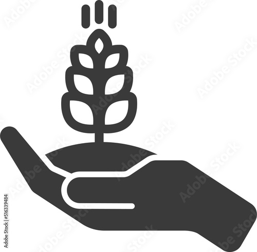 Growing cereal with earth in hand icon isolated on white background.Vector illustration.