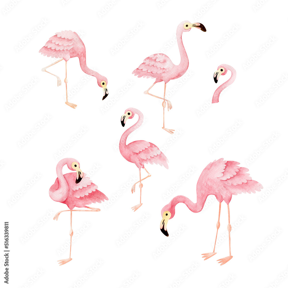 Obraz premium Watercolor set of illustrations of pink flamingos. 