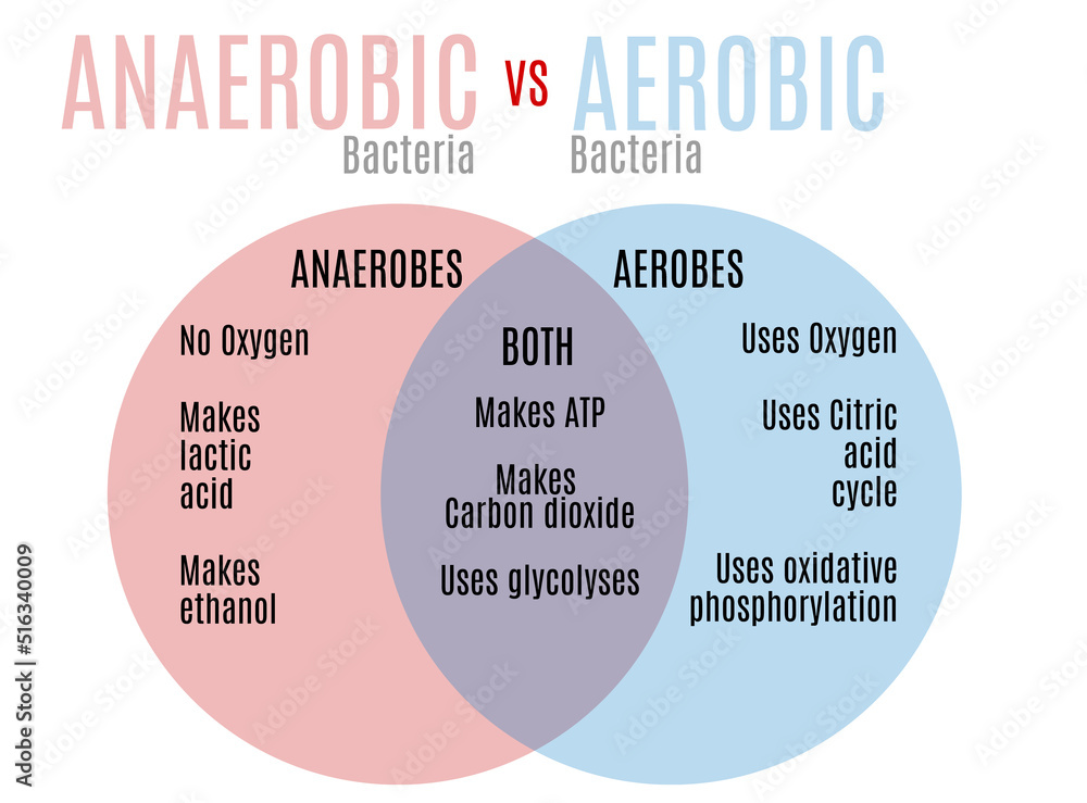 Anaerobic Vs Aerobic Bacteria
