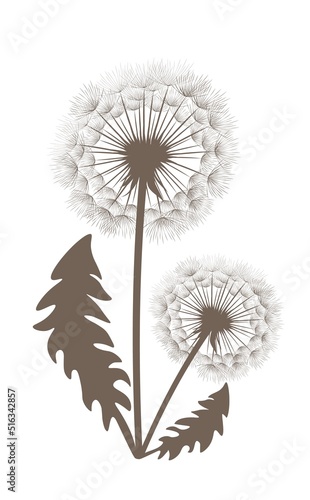 Vector illustration of Silhouette dandelions on a light background. EPS10 for logos or labels  postcards  posters  stickers  wall decor  wallpaper   etc. Wall art for decor 