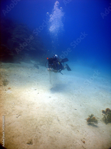 Fototapeta Naklejka Na Ścianę i Meble -  diver on a coral reef in the caribbean sea