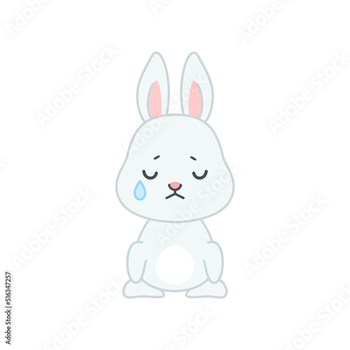Cute crying bunny. Flat cartoon illustration of a little gray sad rabbit isolated on a white background. Vector 10 EPS. © slybrowney