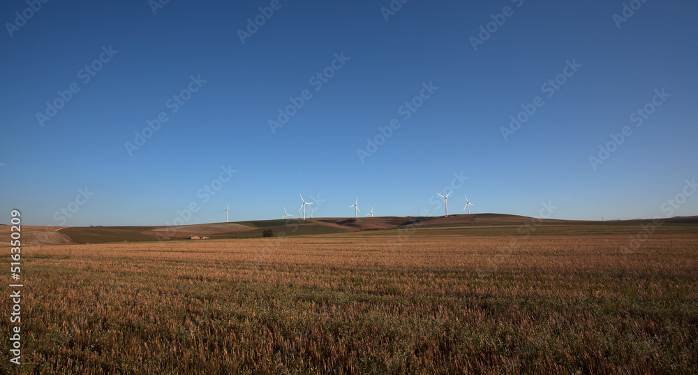 Wind turbines near Caledon, Western Cape, South Africa.