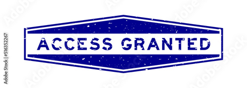 Grunge blue access granted word hexagon rubber seal stamp on white background