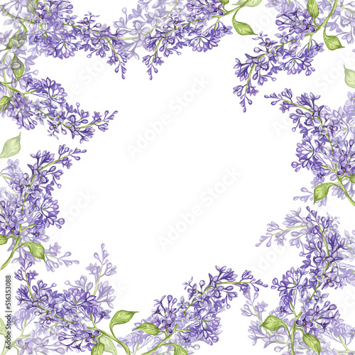 Lilac. watercolor botanical illustration. lilac flowers. frame