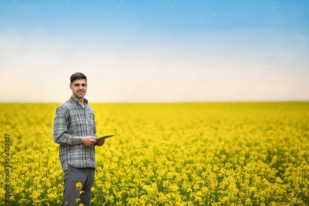 Farmer business man in colza rapeseed field, with digital tablet computer. Agricultural concept. Harvest in field in summer. Farmer business man in colza rapeseed field, with digital tablet computer. Agricultural concept. Harvest in field in summer.