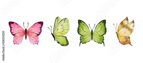 Colorful butterflies watercolor isolated on white background. Pink, green, brown, yellow butterfly. Spring animal vector illustration