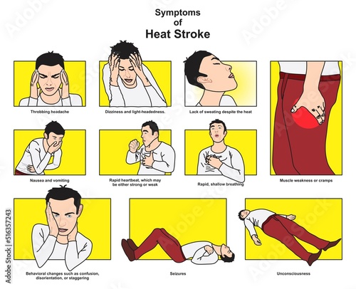 Symptoms of heat stroke infographic diagram headache dizziness cramps nausea vomiting heartbeat breathing confusion seizures unconsciousness for public medical awareness poster vector