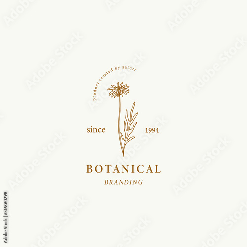 Hand drawn dandelion branch logo