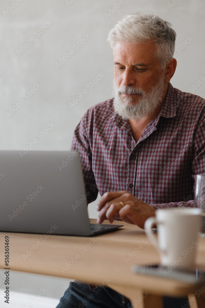 adult business man with gray hair is working at a laptop in his office. career finance and marketing, senior executive lawyer or financier in the company. a successful director is working or resting adult business man with gray hair is working at a laptop in his office. career finance and marketing, senior executive lawyer or financier in the company. a successful director is working or resting