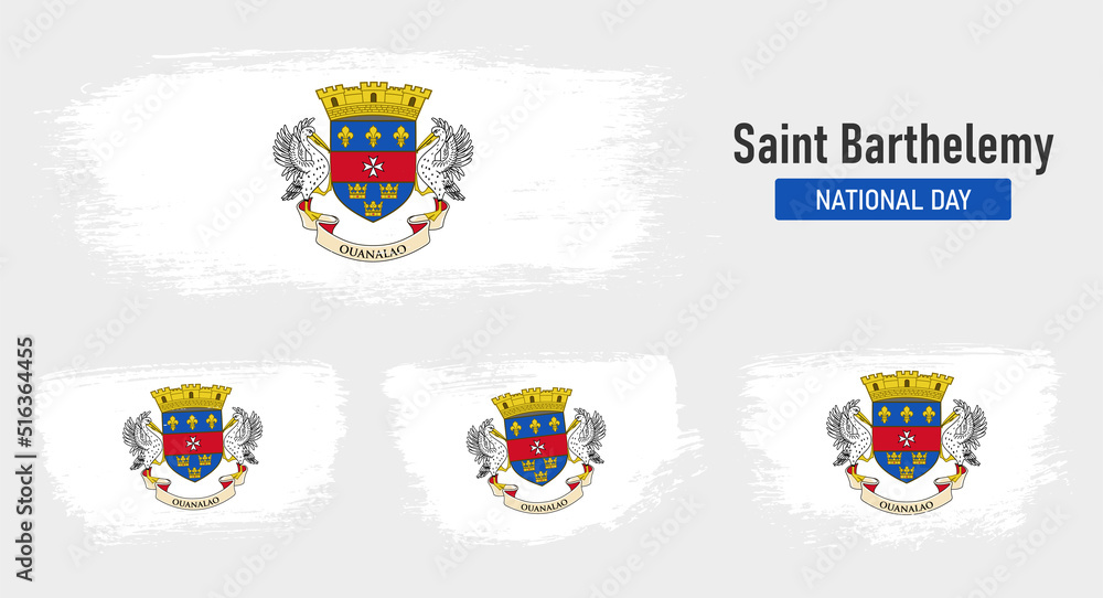 Textured collection national flag of Saint Barthelemy on painted brush stroke effect with white background