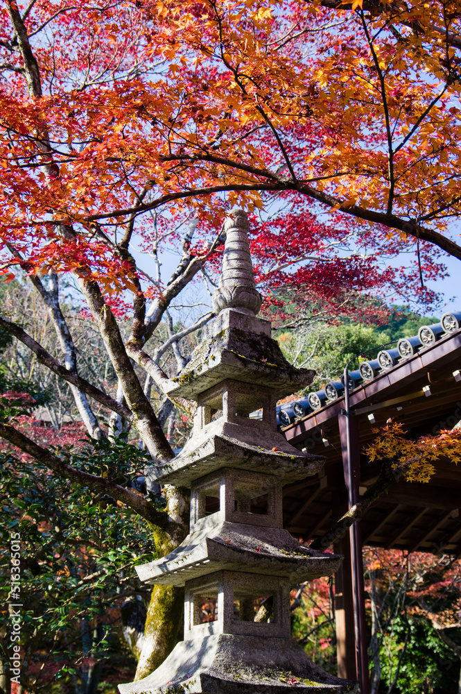 京都嵐山から嵯峨野周辺の紅葉