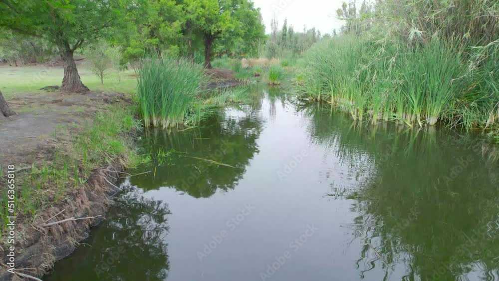 Dolly inn above water with view to lake in middle of trees an vegetation in natural area in Mexico City, with reflection of vegetation Dolly inn above water with view to lake in middle of trees an vegetation in natural area in Mexico City, with reflection of vegetation
