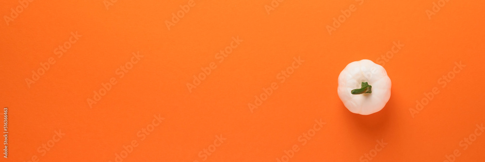 Orange Halloween background. One white pumpkin for Halloween. Black paper bat silhouettes on orange background. Autumn decoration. Banner. Halloween concept. Top view.