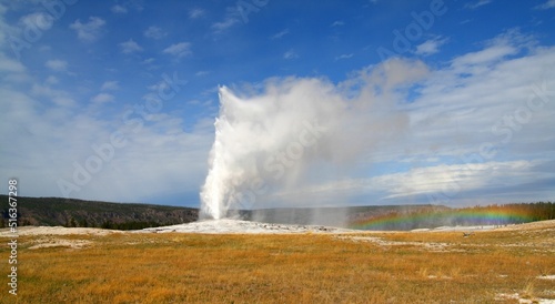 Obraz na plátně Scenic view of the Old Faithful cone geyser in Yellowstone National Park in Wyom
