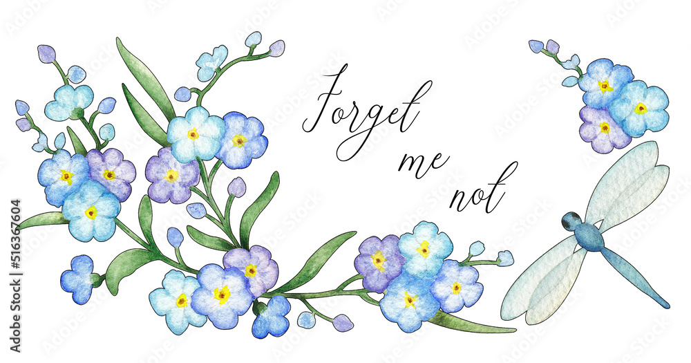 Watercolor hand painted forget-me-not flowers blue dragonfly isolated on white background. Template. Valentine's card. Wedding invitations, babyshower, greeting cards. Postcard. Spring wildflower. 