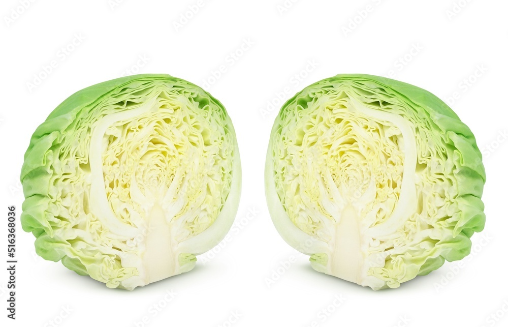 キャベツ イラスト リアル セット