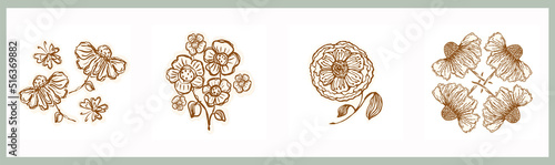 Boho collection of floral, foliage and botanical flower style. Monochrome isolated hand drawn rustic motif set. Sketched modern scandi decor design.