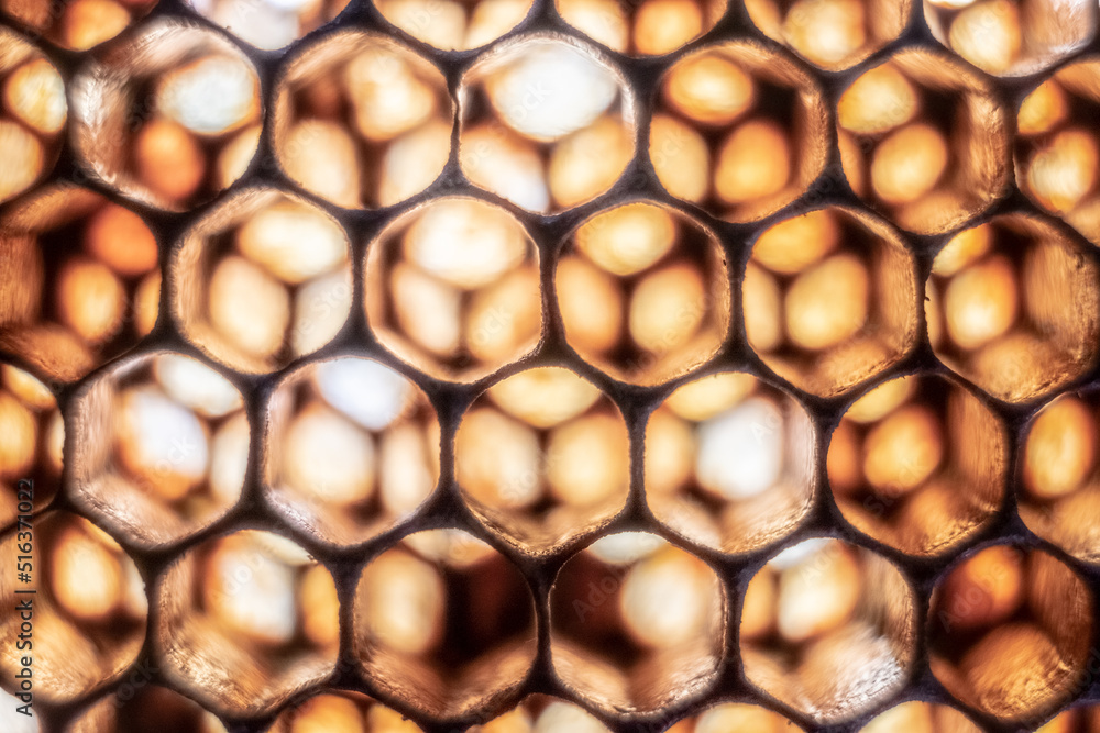 Bee honeycomb is a very beautiful natural pattern. Background texture from wax. Bee honeycomb is a very beautiful natural pattern. Background texture from wax.