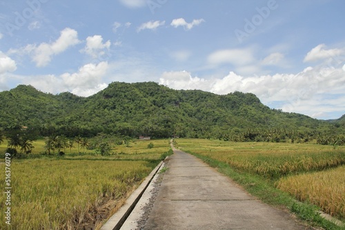 Beautiful summer landscape with an empty road against green hills. Kulon Progo Regency, Indonesia. photo