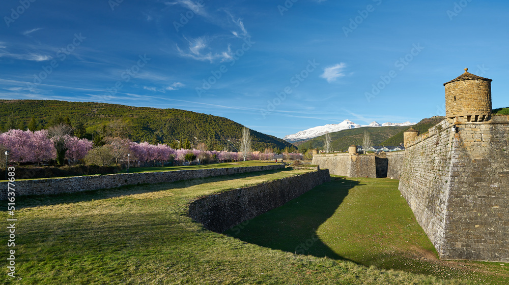 Citadel of Jaca in spring time