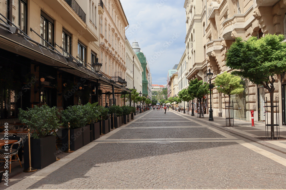 Obraz premium Street of Budapest on a summer sunny day.