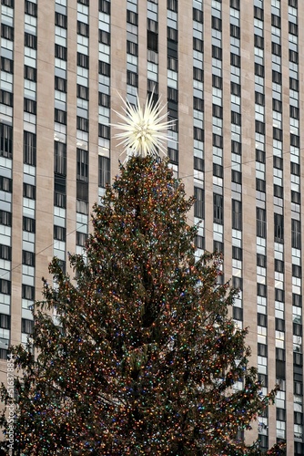 Decorated Christmas tree with a shining star on the top at Rockefeller Center