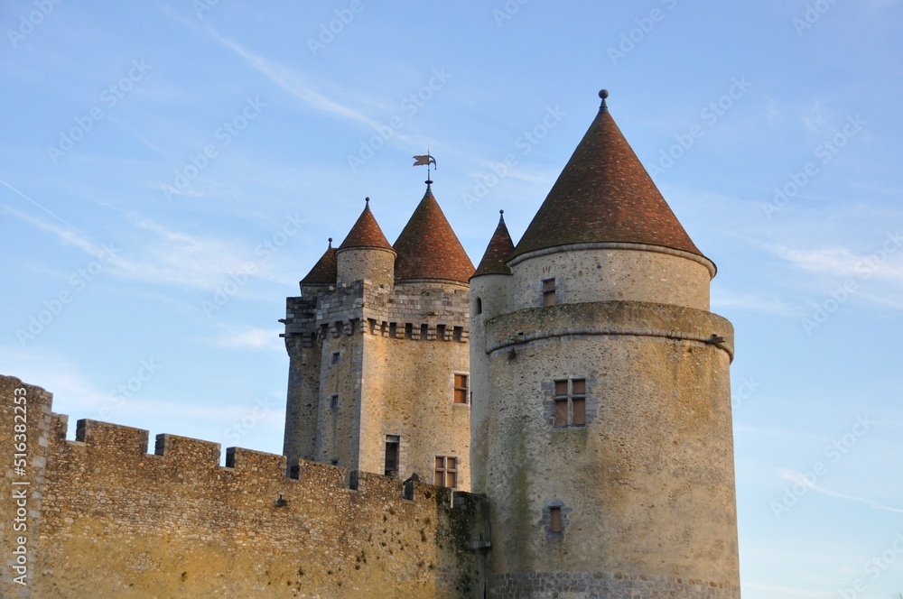 Castle of Blandy les Tours in Seine et Marne