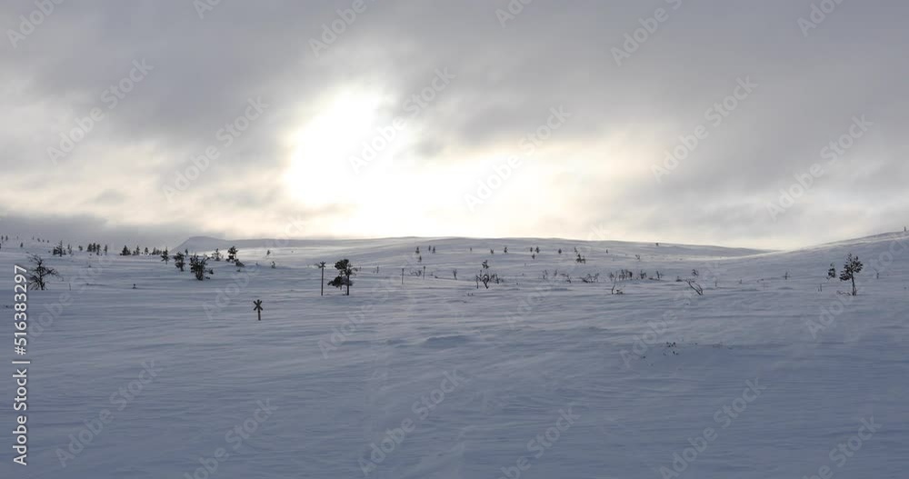Winter landscape in Pallas Yllastunturi National Park, Lapland, Finland Winter landscape in Pallas Yllastunturi National Park, Lapland, Finland
