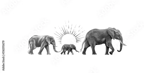 Obraz Elephant family 