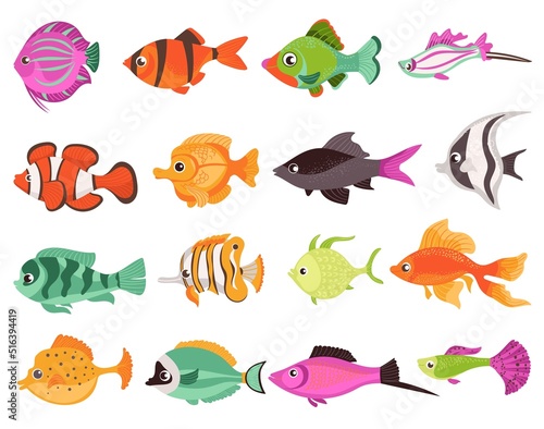 Aquarium fish. Colorful decorative domestic aquatic animals. Different breeds. Cartoon multicolor creations. Marine fauna elements. Swimming goldfish. Splendid vector water pets set