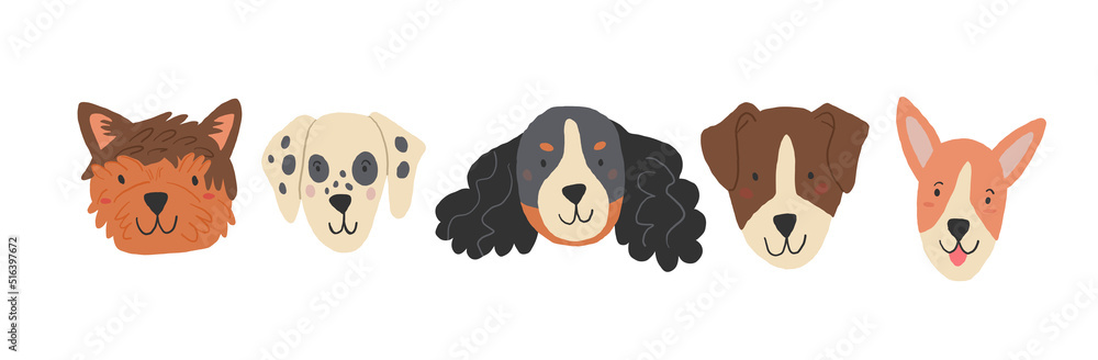 Popular dog breeds faces on white background. Domestic dogs collection. Cute dog icons Popular dog breeds faces on white background. Domestic dogs collection. Cute dog icons