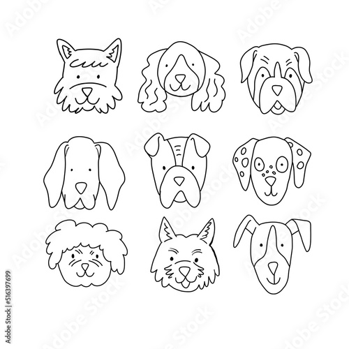 Outline dogs faces on white. Ink black and white dog portraits in doodle hand drawn style. 
