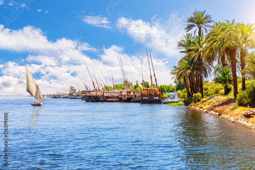 Obraz na płótnie Nile cruise scenery, riverbank near Luxor, Upper Egypt w salonie