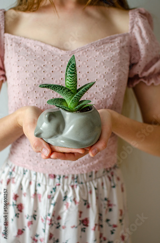 Close up view of flowerpot in