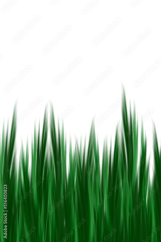 Fototapeta premium abstract view of plants, herbs, leaves in green color